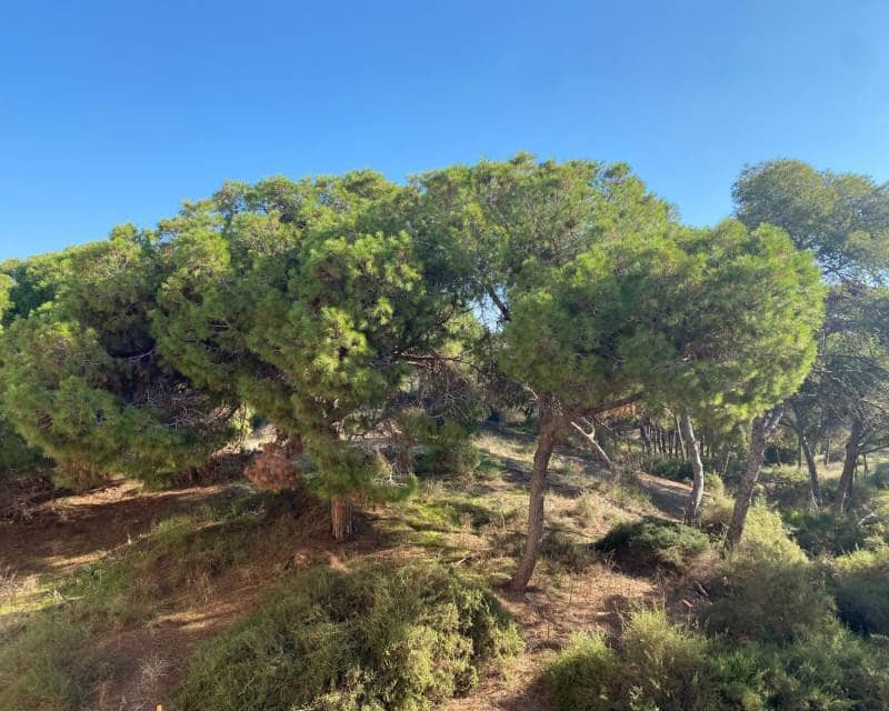 2 camera da letto Appartamento in vendita in Guardamar del Segura - 349.000 € (Rif: 9435150)