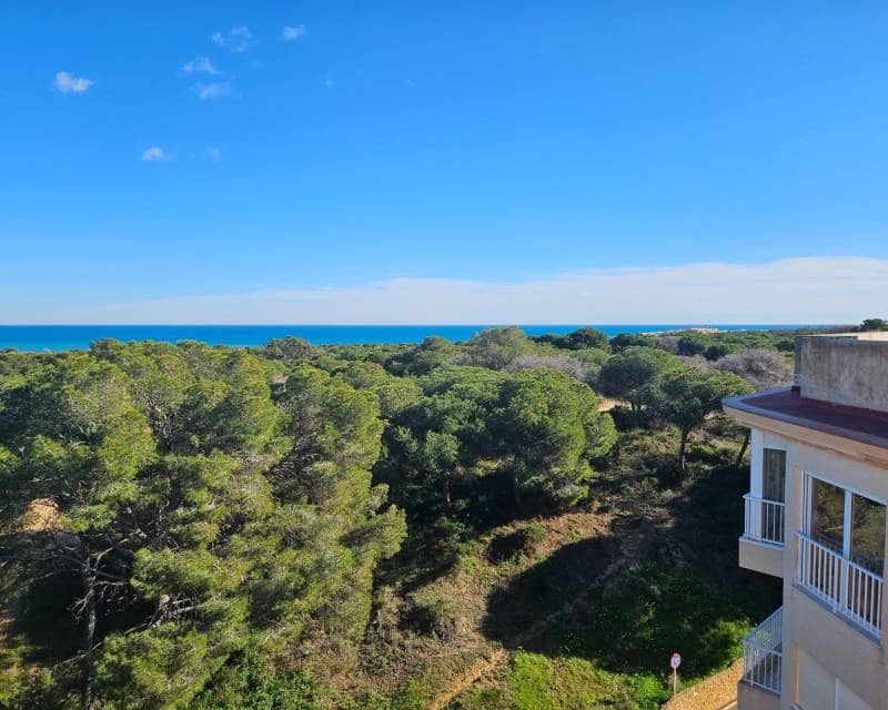 2 bedroom Apartment for sale in Guardamar del Segura - € 134,900 (Ref: 9502975)