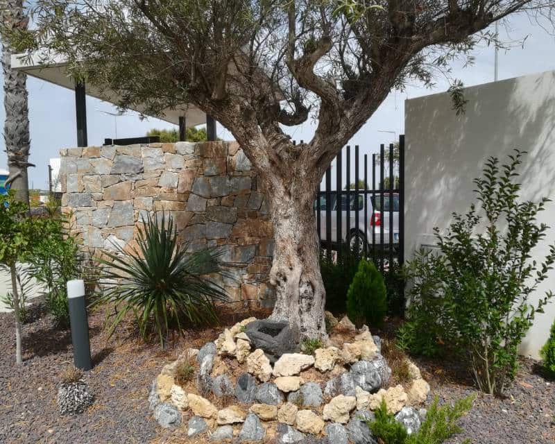 Bungalow de 3 habitaciones en Torrevieja en venta con piscina - 289.900 € (Ref: 9633159)