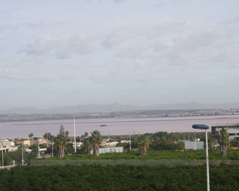 2 chambre Maison de Ville à vendre à Torrevieja avec piscine - 330 000 € (Ref: 9633373)