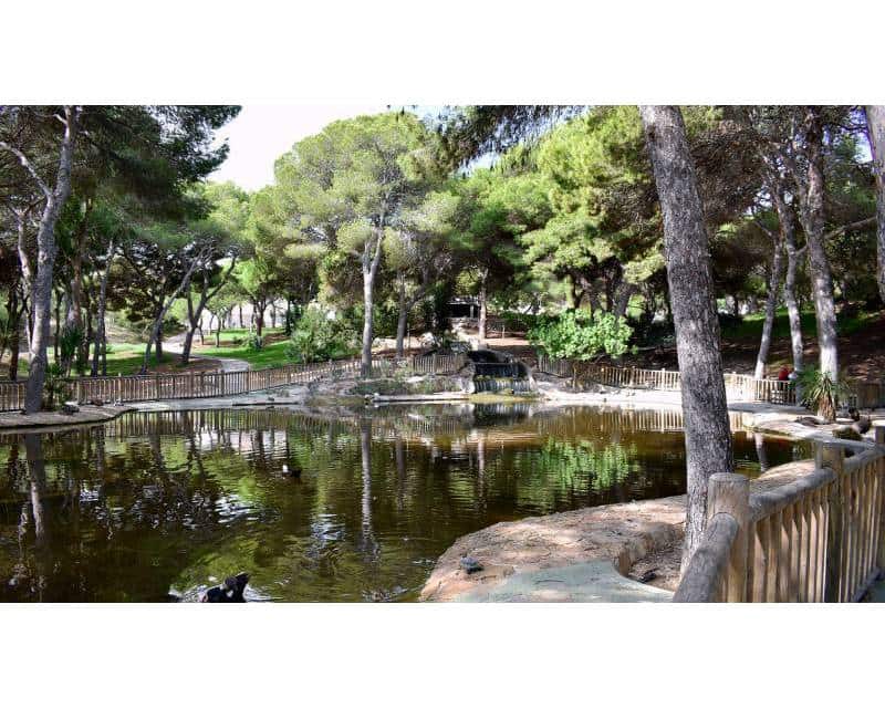 3 chambre Appartement à vendre à Guardamar del Segura avec piscine - 385 000 € (Ref: 9641168)