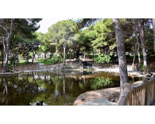 2 slaapkamer Appartement te koop in Zona Pueblo, Guardamar del Segura met zwembad - € 317.500 (Ref: 9642749)