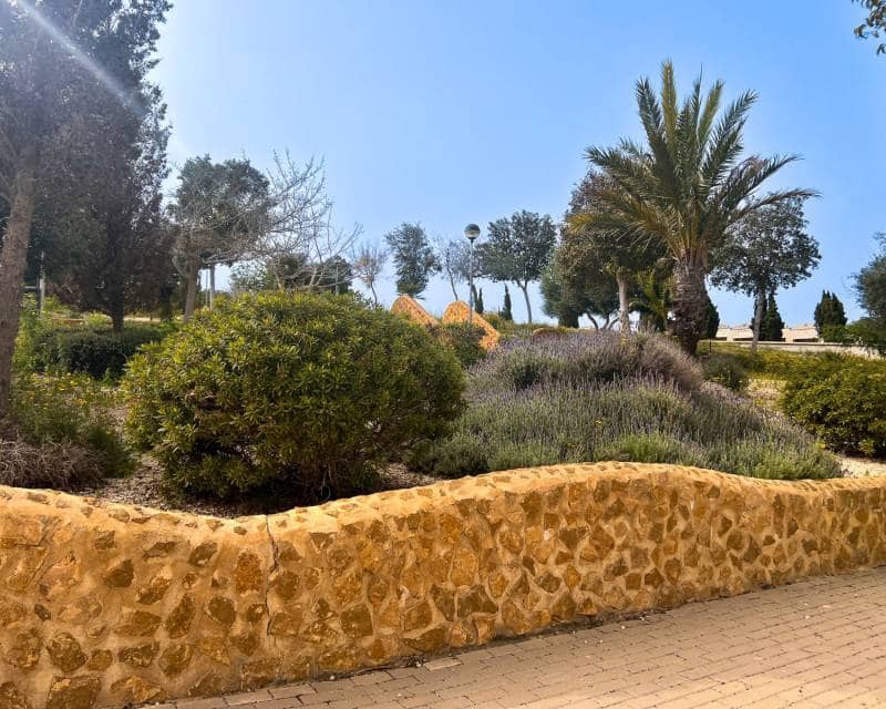 3 sovrum Lägenhet till salu i Guardamar del Segura med pool garage - 289 900 € (Ref: 9669247)