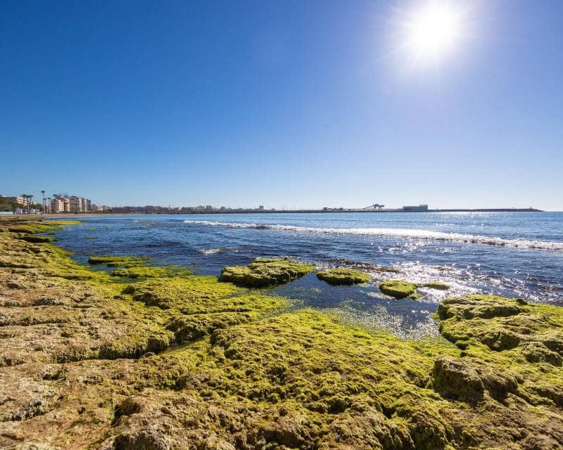 3 makuuhuone Ranta-asunto myytävänä paikassa Torrevieja - 290 000 € (Ref: 9797651)