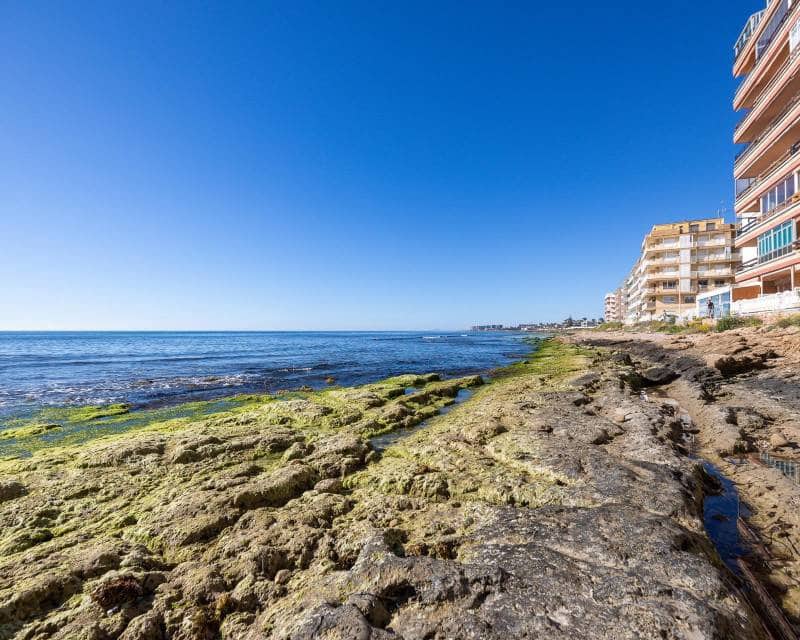 3 makuuhuone Ranta-asunto myytävänä paikassa Torrevieja - 290 000 € (Ref: 9797651)