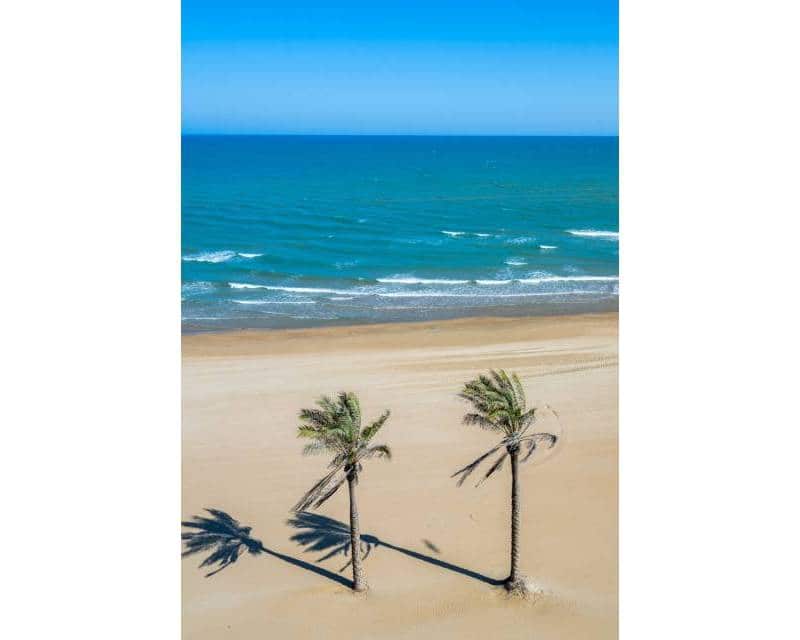 2 soveværelse Lejlighed til salg i Guardamar del Segura - € 298.000 (Ref: 9807210)