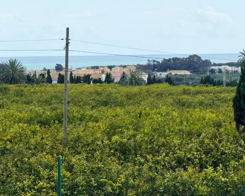 8 makuuhuone Maalaistalo myytävänä paikassa Guardamar del Segura - 490 000 € (Ref: 9810421)