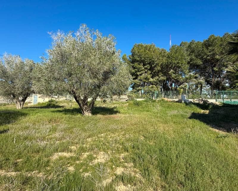 8 makuuhuone Maalaistalo myytävänä paikassa Guardamar del Segura - 490 000 € (Ref: 9810421)