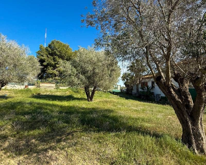 8 makuuhuone Maalaistalo myytävänä paikassa Guardamar del Segura - 490 000 € (Ref: 9810421)