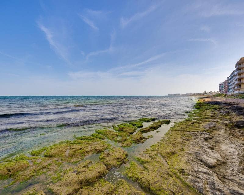 3 sypialnia Penthouse na sprzedaż w Torrevieja - 299 000 € (Ref: 9818626)