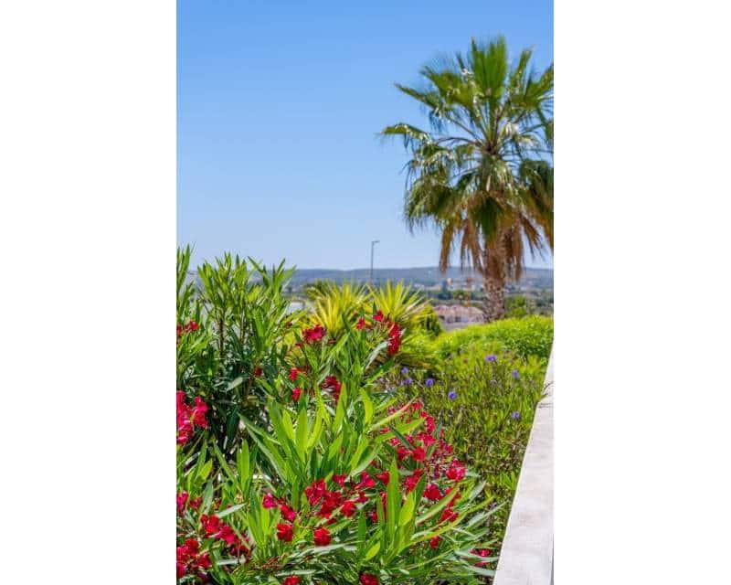 3 camera da letto Villa in vendita in San Fulgencio con piscina garage - 595.000 € (Rif: 9854271)