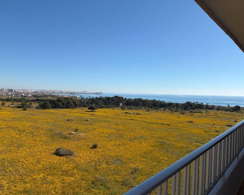 2 soveværelse Penthouse til salg i Punta Prima - € 220.000 (Ref: 9897304)