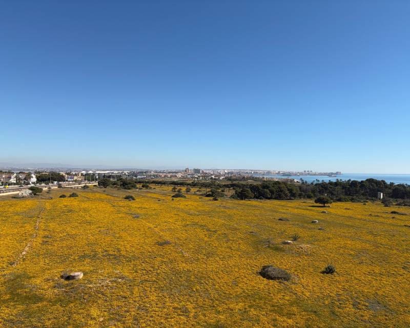 2 soveværelse Penthouse til salg i Punta Prima - € 220.000 (Ref: 9897304)