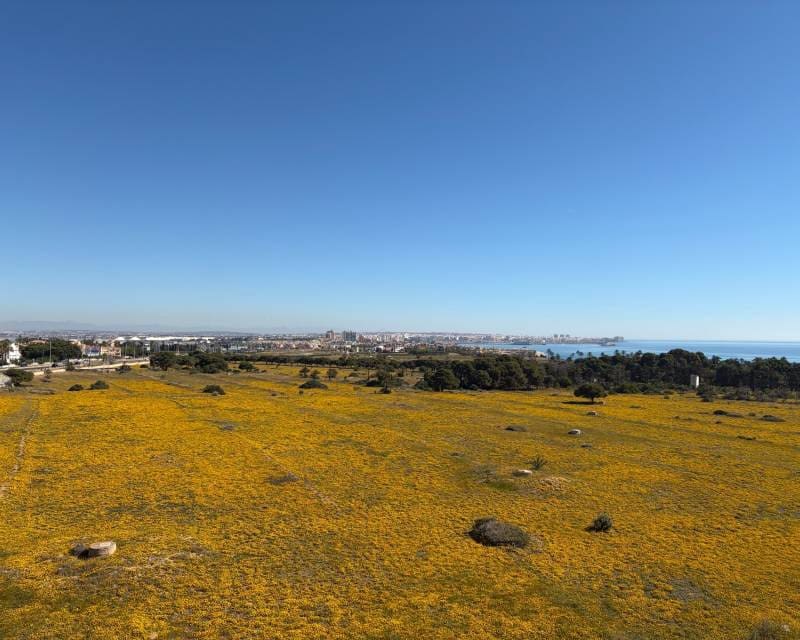 2 soveværelse Penthouse til salg i Punta Prima - € 220.000 (Ref: 9897304)