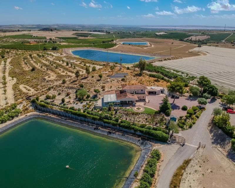 3 sypialnia Finka/Dom wiejski na sprzedaż w San Miguel de Salinas z basenem garażem - 999 900 € (Ref: 9911873)