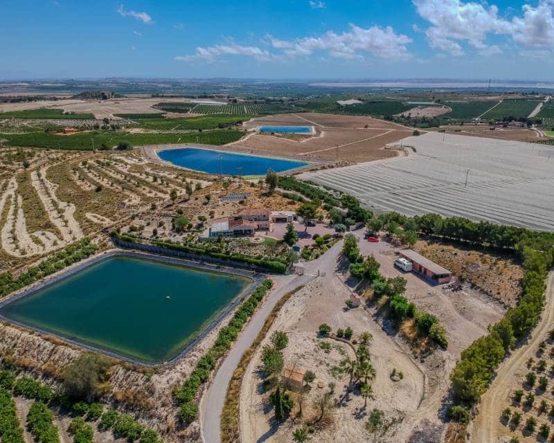 3 sypialnia Finka/Dom wiejski na sprzedaż w San Miguel de Salinas z basenem garażem - 999 900 € (Ref: 9911873)