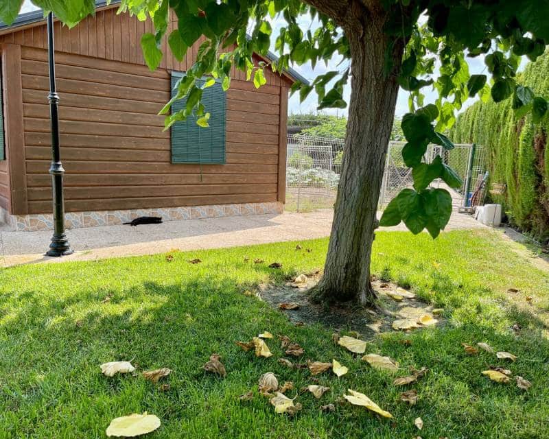 4 sovrum Villa till salu i San Fulgencio med pool garage - 476 000 € (Ref: 9938927)