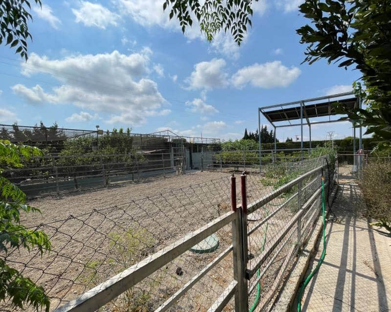 4 sovrum Villa till salu i San Fulgencio med pool garage - 476 000 € (Ref: 9938927)