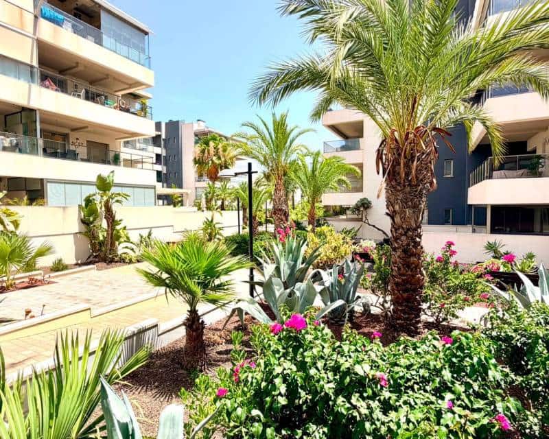 2 soverom Leilighet til salgs i Villamartin med svømmebasseng garasje - € 269 900 (Ref: 9974227)