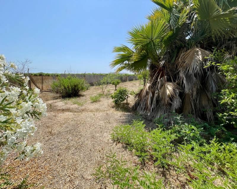 Chalet de 4 habitaciones en Daya Nueva en venta con piscina - 395.000 € (Ref: 9981658)
