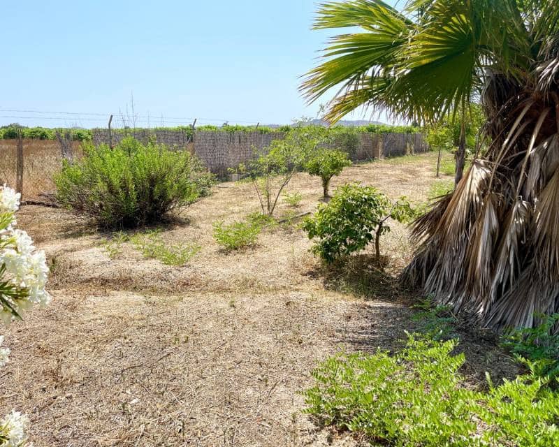 Chalet de 4 habitaciones en Daya Nueva en venta con piscina - 395.000 € (Ref: 9981658)