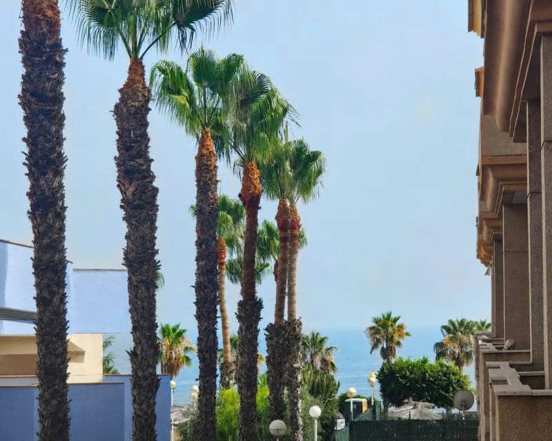 Apartamento de 2 habitaciones en Orihuela Costa en venta con piscina - 224.000 € (Ref: 9984291)