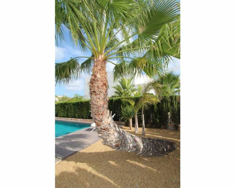 3 bedroom Villa for sale in Ciudad Quesada with pool - € 750,000 (Ref: 9995965)