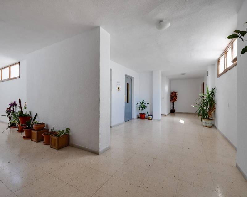 3 Zimmer Penthouse zu verkaufen in Torrevieja - 225.000 € (Ref: 9996247)