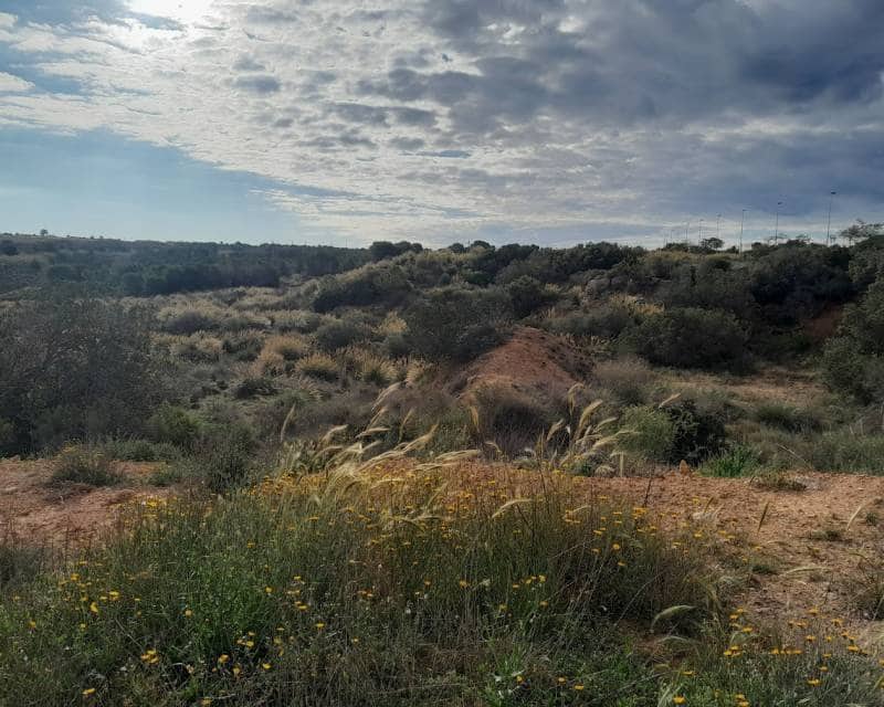 4 soverom Villa til salgs i Gran Alacant med svømmebasseng - € 579 000 (Ref: 9997900)