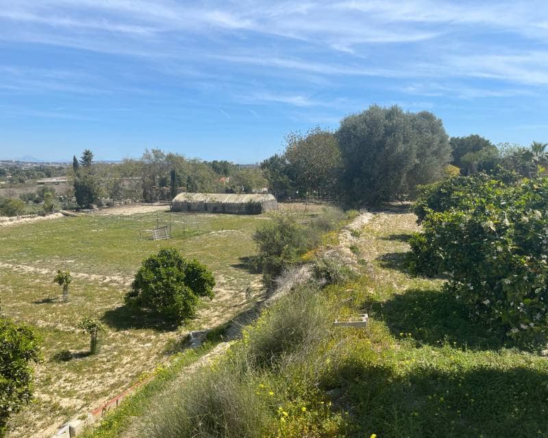 3 quarto Moradia para venda em Guardamar del Segura com piscina - 460 000 € (Ref: 9997903)