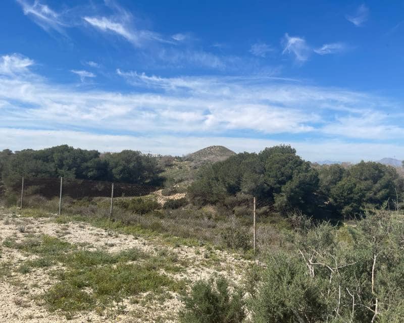 3 quarto Moradia para venda em Guardamar del Segura com piscina - 460 000 € (Ref: 9997903)