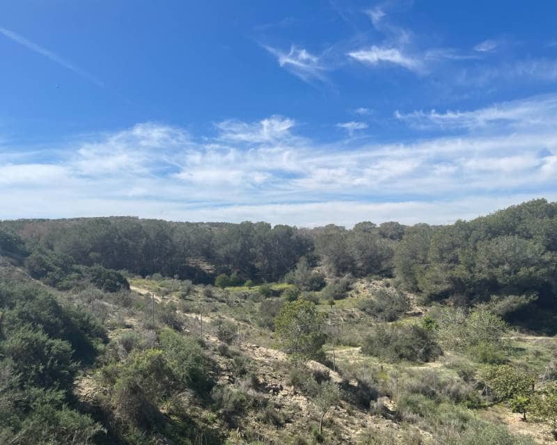3 quarto Moradia para venda em Guardamar del Segura com piscina - 460 000 € (Ref: 9997903)