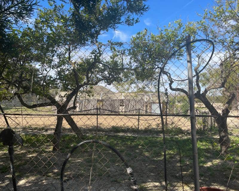 3 quarto Moradia para venda em Guardamar del Segura com piscina - 460 000 € (Ref: 9997903)