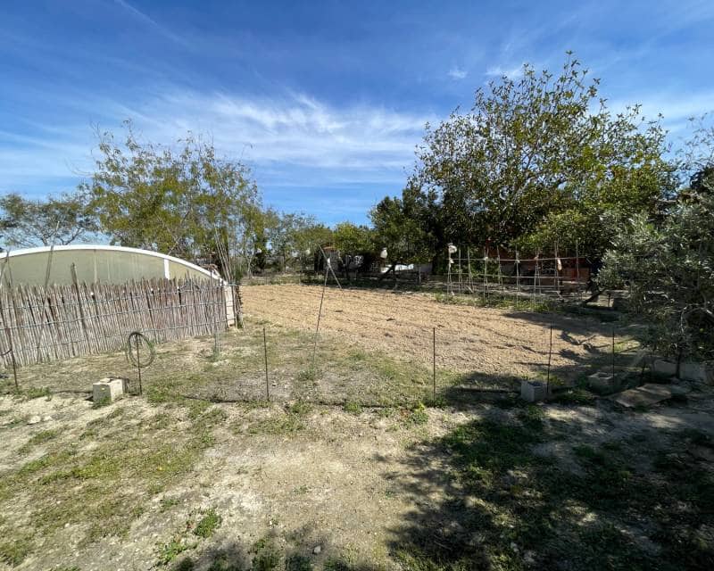 3 quarto Moradia para venda em Guardamar del Segura com piscina - 460 000 € (Ref: 9997903)