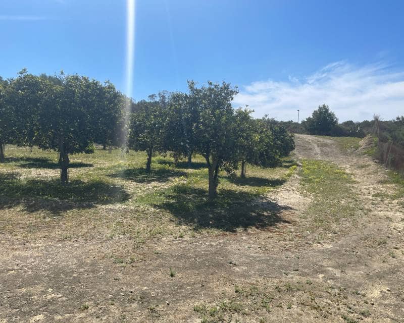 3 quarto Moradia para venda em Guardamar del Segura com piscina - 460 000 € (Ref: 9997903)