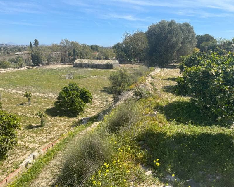 3 quarto Moradia para venda em Guardamar del Segura com piscina - 460 000 € (Ref: 9997903)