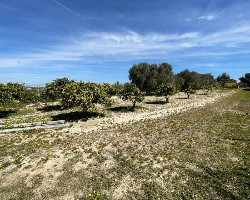 3 quarto Moradia para venda em Guardamar del Segura com piscina - 460 000 € (Ref: 9997903)
