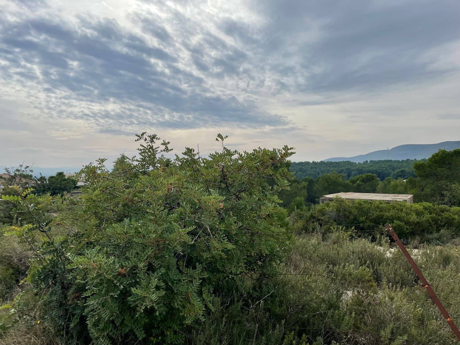 Grunde uden byggetilladelser til salg i Catadau - € 250.000 (Ref: 6487811)