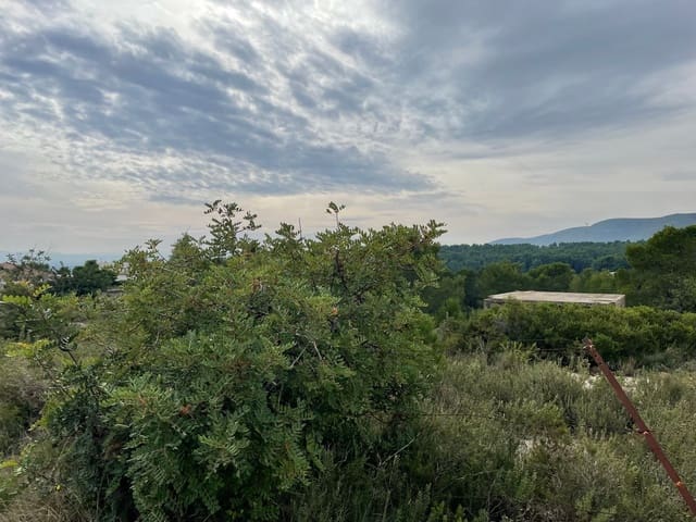 Undeveloped Land for sale in Catadau - € 250,000 (Ref: 6487811)