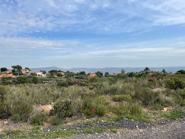 Undeveloped Land for sale in Catadau - € 250,000 (Ref: 6487811)