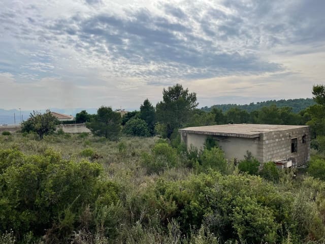 Undeveloped Land for sale in Catadau - € 250,000 (Ref: 6487811)