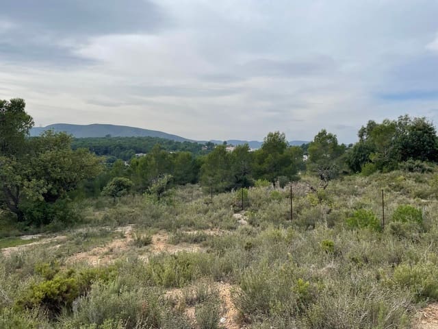 Undeveloped Land for sale in Catadau - € 250,000 (Ref: 6487811)