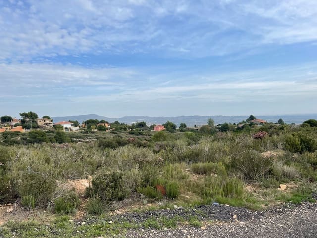 Terreno Não Urbanizado para venda em Catadau - 250 000 € (Ref: 6487811)