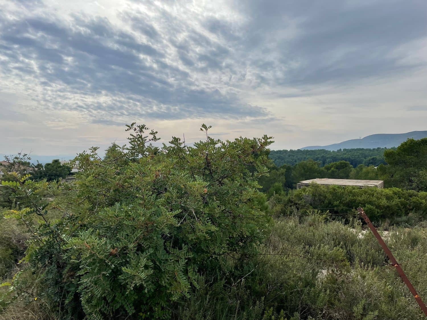 Terreno/Finca Rústica en Catadau en venta - 250.000 € (Ref: 6487811)