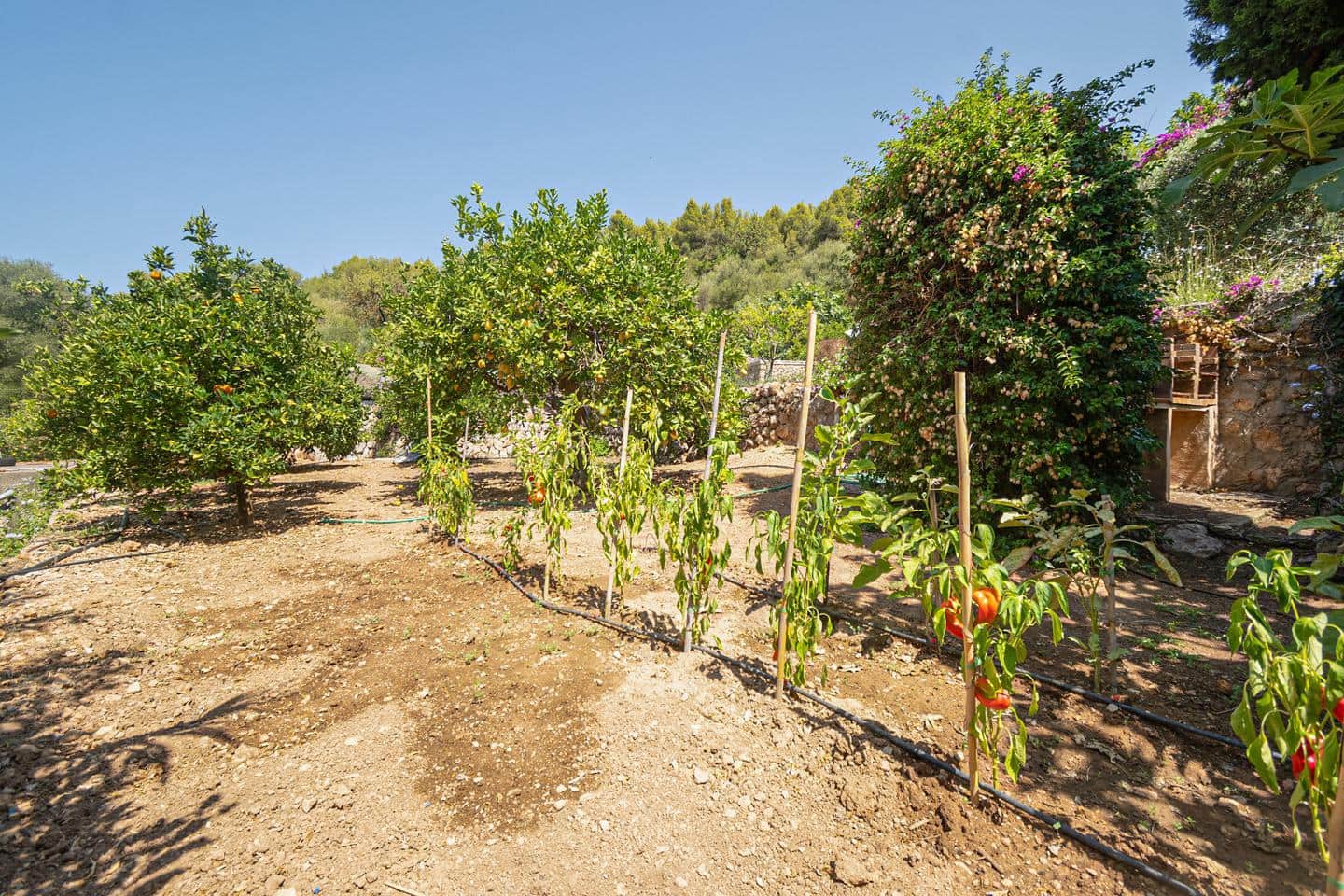 3 bedroom Villa for sale in Soller with pool garage - € 2,655,000 (Ref: 10051879)