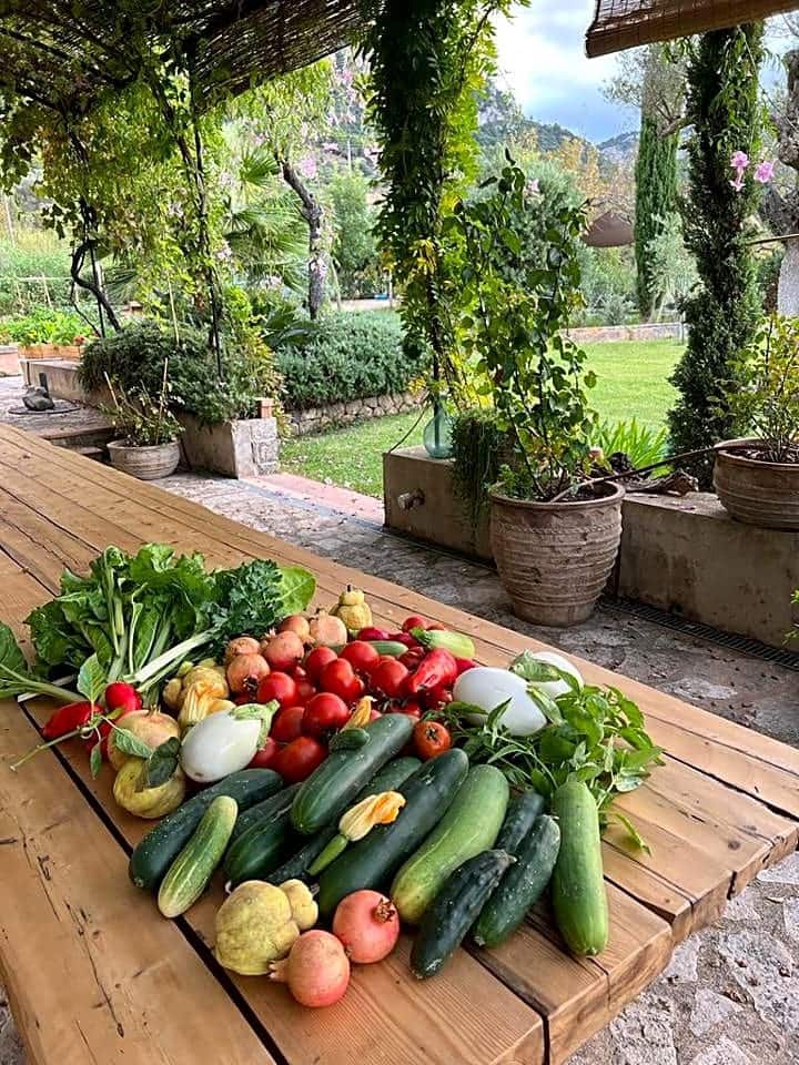 3 sovrum Finca/Hus på landet att hyra i Valldemosa med pool - 10 000 € (Ref: 9415223)