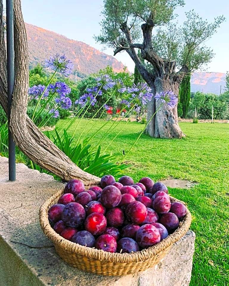 3 sovrum Finca/Hus på landet att hyra i Valldemosa med pool - 10 000 € (Ref: 9415223)