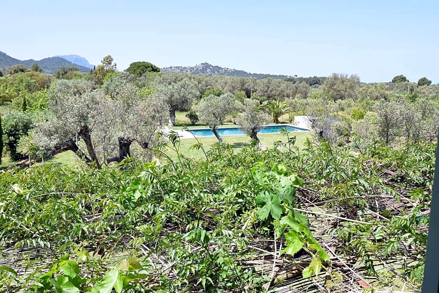 3 sovrum Finca/Hus på landet att hyra i Valldemosa med pool - 10 000 € (Ref: 9415223)