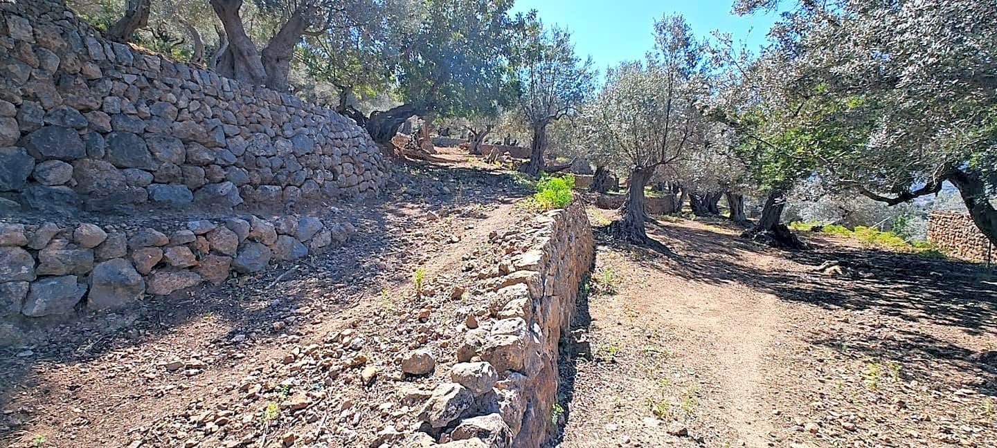 6 chambre Finca/Maison de Campagne à vendre à Soller avec garage - 4 500 000 € (Ref: 9417469)