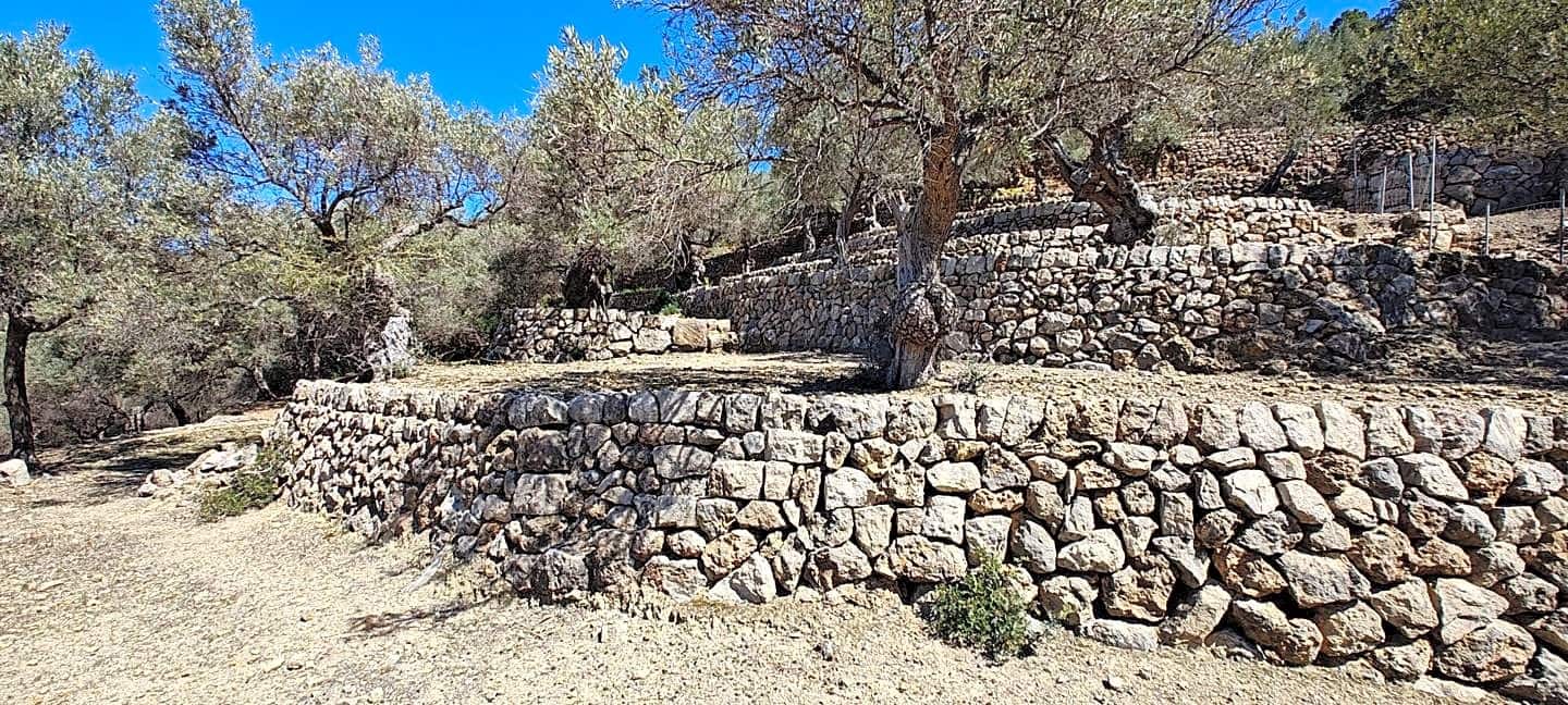6 chambre Finca/Maison de Campagne à vendre à Soller avec garage - 4 500 000 € (Ref: 9417469)